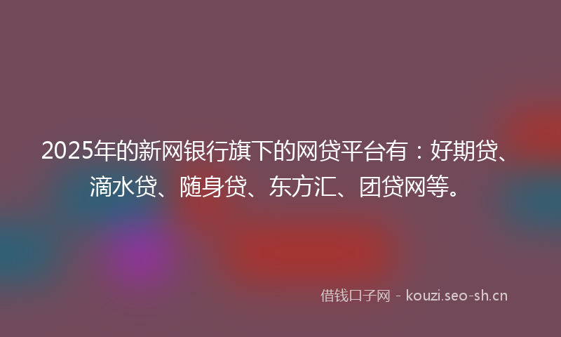 2025年的新网银行旗下的网贷平台有：好期贷、滴水贷、随身贷、东方汇、团贷网等。