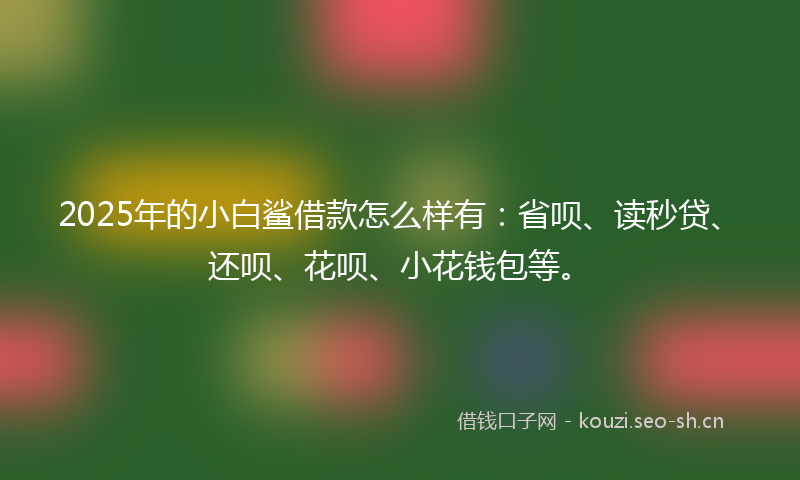 2025年的小白鲨借款怎么样有：省呗、读秒贷、还呗、花呗、小花钱包等。