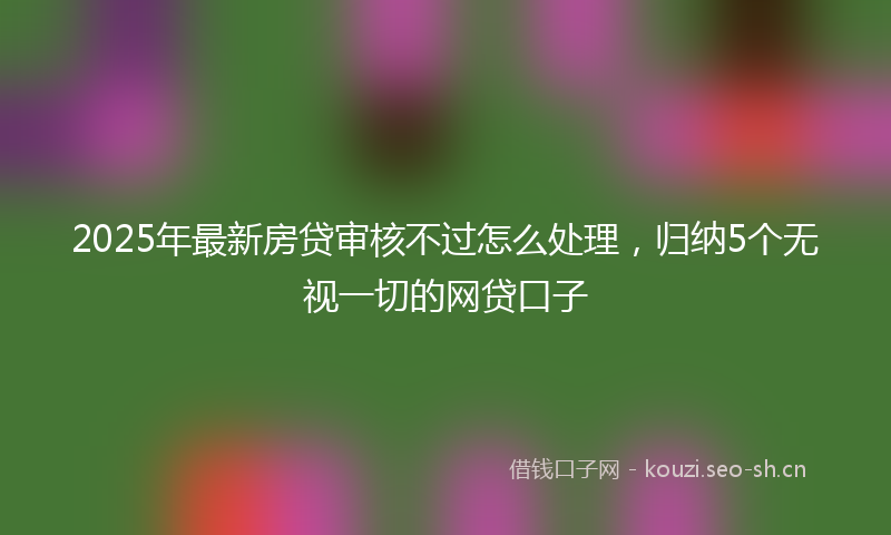 2025年最新房贷审核不过怎么处理，归纳5个无视一切的网贷口子