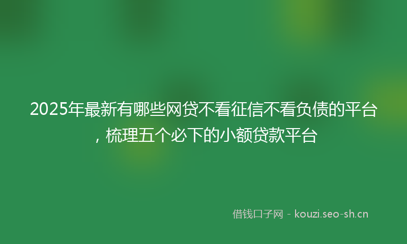 2025年最新有哪些网贷不看征信不看负债的平台，梳理五个必下的小额贷款平台