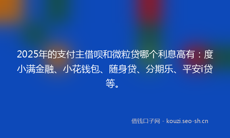 2025年的支付主借呗和微粒贷哪个利息高有：度小满金融、小花钱包、随身贷、分期乐、平安i贷等。
