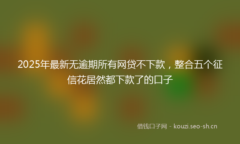 2025年最新无逾期所有网贷不下款，整合五个征信花居然都下款了的口子