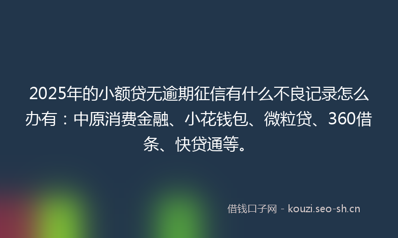 2025年的小额贷无逾期征信有什么不良记录怎么办有：中原消费金融、小花钱包、微粒贷、360借条、快贷通等。
