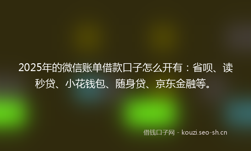 2025年的微信账单借款口子怎么开有：省呗、读秒贷、小花钱包、随身贷、京东金融等。