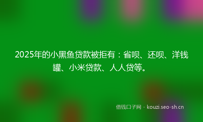 2025年的小黑鱼贷款被拒有：省呗、还呗、洋钱罐、小米贷款、人人贷等。