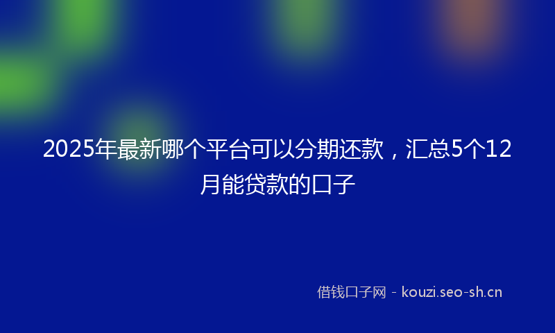 2025年最新哪个平台可以分期还款，汇总5个12月能贷款的口子