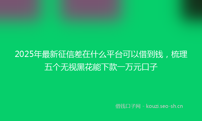 2025年最新征信差在什么平台可以借到钱，梳理五个无视黑花能下款一万元口子