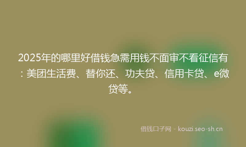 2025年的哪里好借钱急需用钱不面审不看征信有：美团生活费、替你还、功夫贷、信用卡贷、e微贷等。