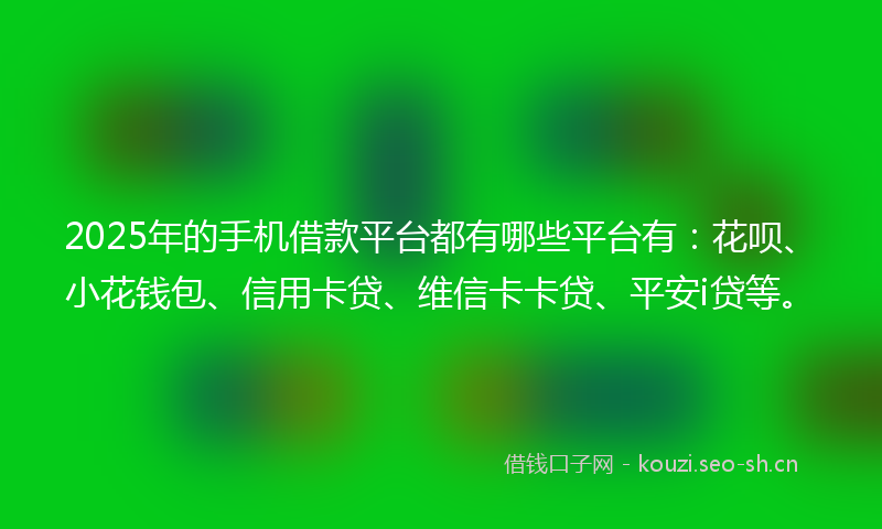 2025年的手机借款平台都有哪些平台有：花呗、小花钱包、信用卡贷、维信卡卡贷、平安i贷等。