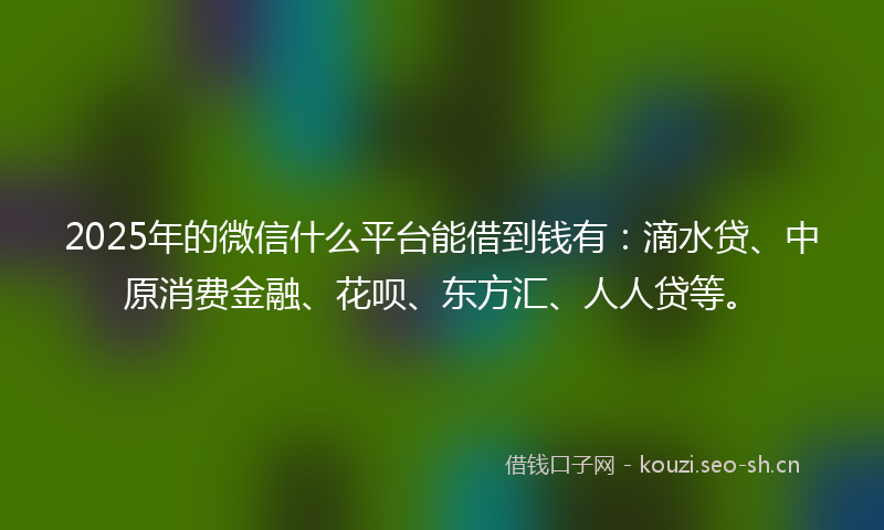 2025年的微信什么平台能借到钱有：滴水贷、中原消费金融、花呗、东方汇、人人贷等。