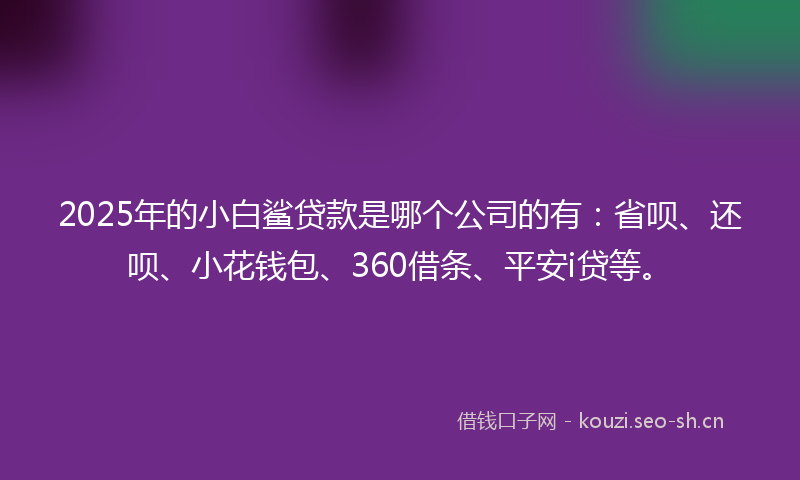 2025年的小白鲨贷款是哪个公司的有：省呗、还呗、小花钱包、360借条、平安i贷等。