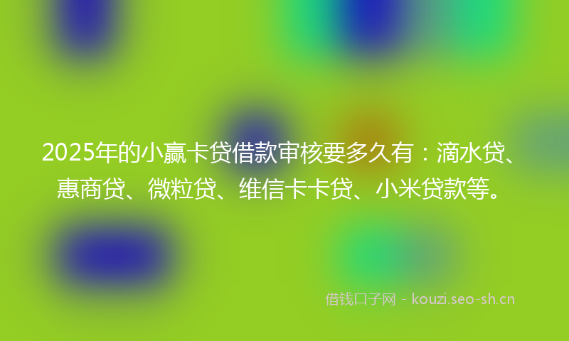 2025年的小赢卡贷借款审核要多久有：滴水贷、惠商贷、微粒贷、维信卡卡贷、小米贷款等。