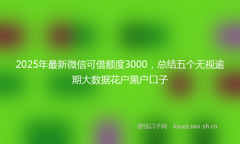 2025年最新微信可借额度3000，总结五个无视逾期大数据花户黑户口子