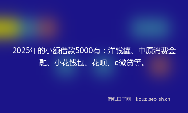 2025年的小额借款5000有：洋钱罐、中原消费金融、小花钱包、花呗、e微贷等。