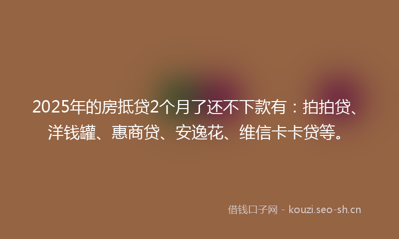 2025年的房抵贷2个月了还不下款有：拍拍贷、洋钱罐、惠商贷、安逸花、维信卡卡贷等。