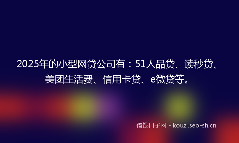 2025年的小型网贷公司有：51人品贷、读秒贷、美团生活费、信用卡贷、e微贷等。