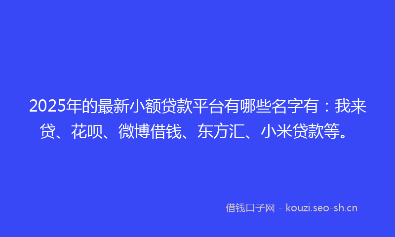 2025年的最新小额贷款平台有哪些名字有：我来贷、花呗、微博借钱、东方汇、小米贷款等。