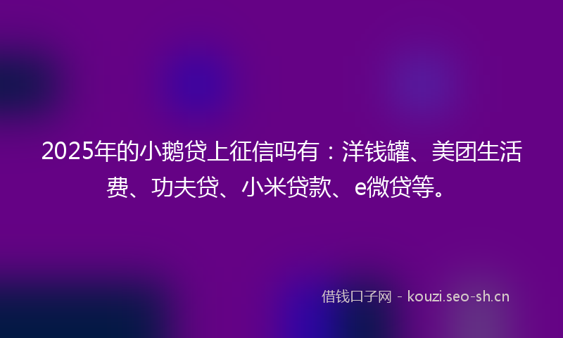 2025年的小鹅贷上征信吗有：洋钱罐、美团生活费、功夫贷、小米贷款、e微贷等。