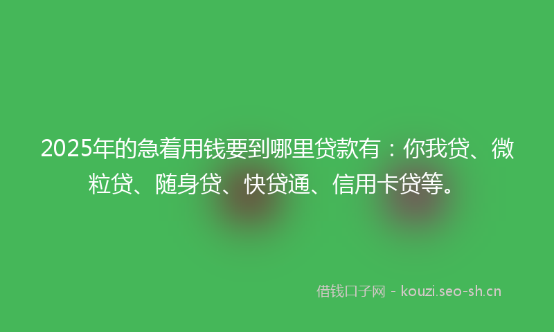 2025年的急着用钱要到哪里贷款有：你我贷、微粒贷、随身贷、快贷通、信用卡贷等。