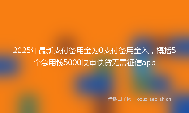 2025年最新支付备用金为0支付备用金入，概括5个急用钱5000快审快贷无需征信app