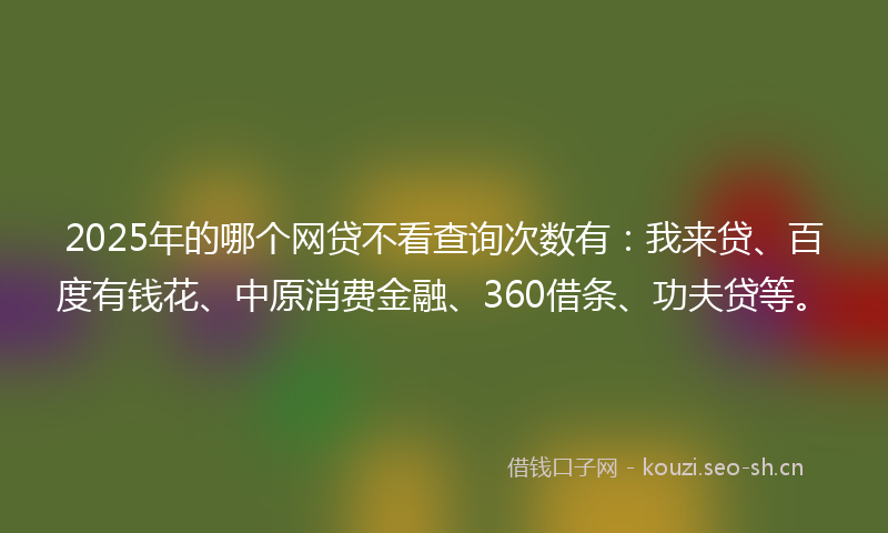2025年的哪个网贷不看查询次数有：我来贷、百度有钱花、中原消费金融、360借条、功夫贷等。
