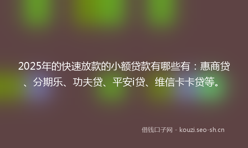 2025年的快速放款的小额贷款有哪些有：惠商贷、分期乐、功夫贷、平安i贷、维信卡卡贷等。