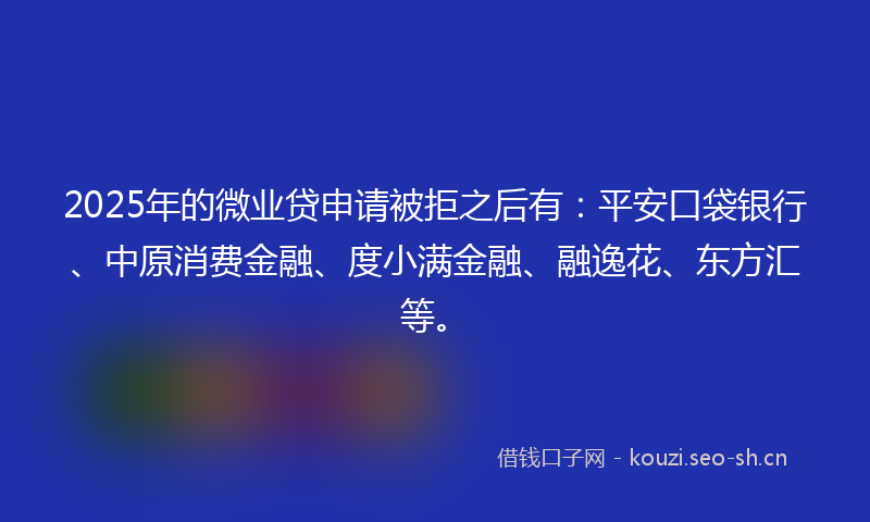 2025年的微业贷申请被拒之后有：平安口袋银行、中原消费金融、度小满金融、融逸花、东方汇等。