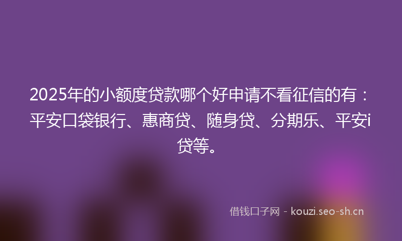 2025年的小额度贷款哪个好申请不看征信的有：平安口袋银行、惠商贷、随身贷、分期乐、平安i贷等。