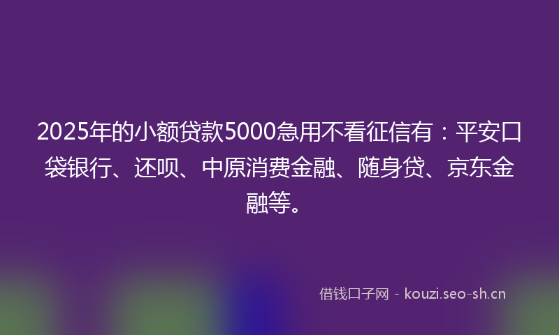 2025年的小额贷款5000急用不看征信有：平安口袋银行、还呗、中原消费金融、随身贷、京东金融等。