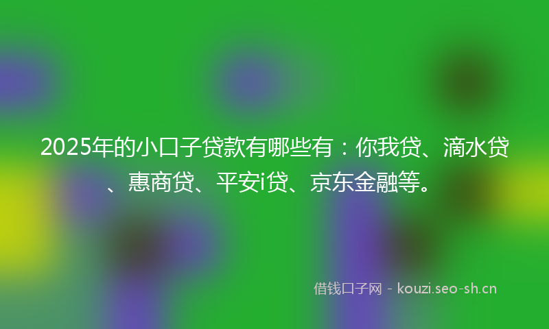 2025年的小口子贷款有哪些有：你我贷、滴水贷、惠商贷、平安i贷、京东金融等。