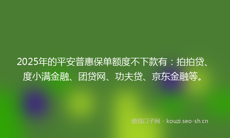 2025年的平安普惠保单额度不下款有：拍拍贷、度小满金融、团贷网、功夫贷、京东金融等。