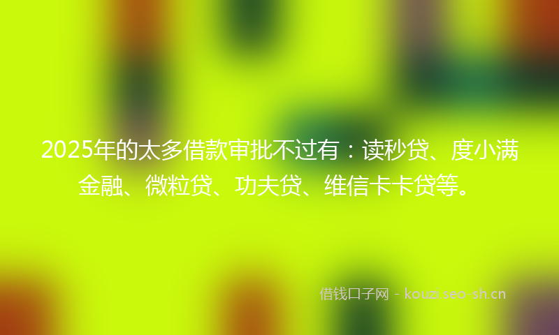 2025年的太多借款审批不过有：读秒贷、度小满金融、微粒贷、功夫贷、维信卡卡贷等。