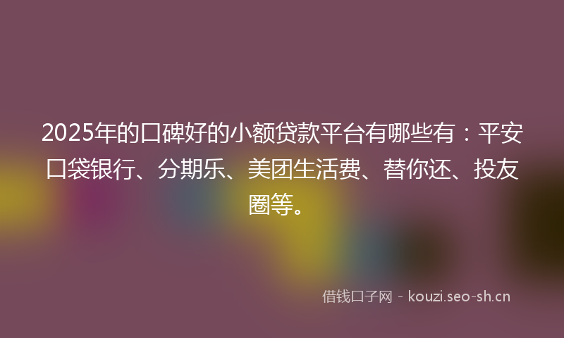 2025年的口碑好的小额贷款平台有哪些有：平安口袋银行、分期乐、美团生活费、替你还、投友圈等。