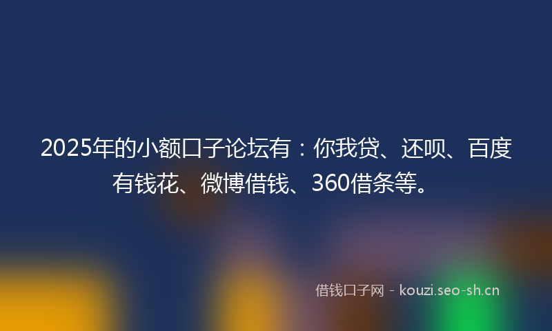 2025年的小额口子论坛有：你我贷、还呗、百度有钱花、微博借钱、360借条等。
