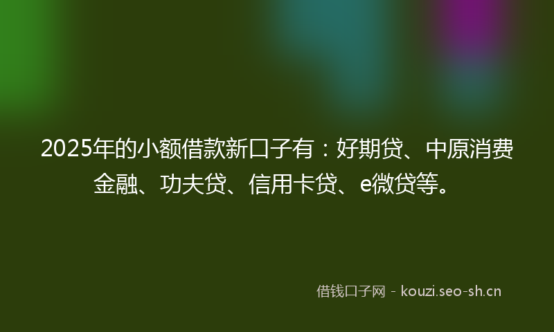 2025年的小额借款新口子有：好期贷、中原消费金融、功夫贷、信用卡贷、e微贷等。