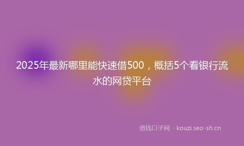 2025年最新哪里能快速借500,概括5个看银行流水的网贷平台