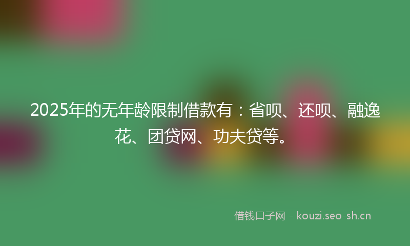 2025年的无年龄限制借款有：省呗、还呗、融逸花、团贷网、功夫贷等。