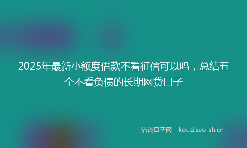 2025年最新小额度借款不看征信可以吗，总结五个不看负债的长期网贷口子