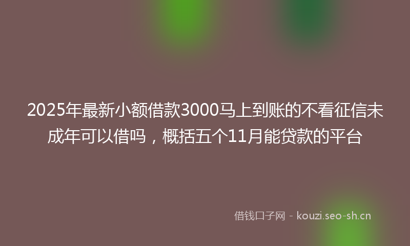 2025年最新小额借款3000马上到账的不看征信未成年可以借吗，概括五个11月能贷款的平台