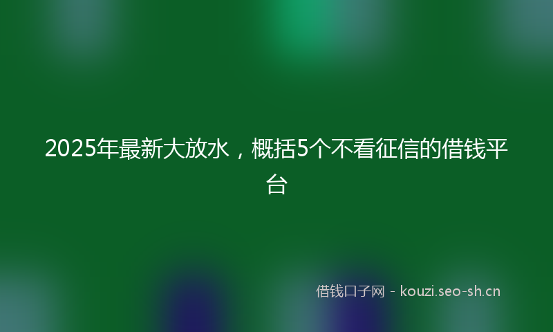 2025年最新大放水，概括5个不看征信的借钱平台
