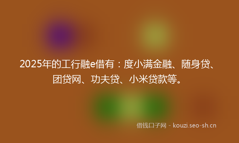 2025年的工行融e借有：度小满金融、随身贷、团贷网、功夫贷、小米贷款等。