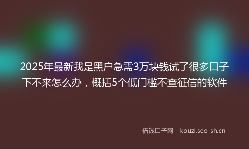 2025年最新我是黑户急需3万块钱试了很多口子下不来怎么办，概括5个低门槛不查征信的软件