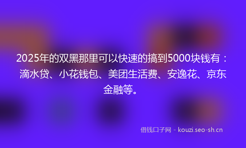 2025年的双黑那里可以快速的搞到5000块钱有：滴水贷、小花钱包、美团生活费、安逸花、京东金融等。