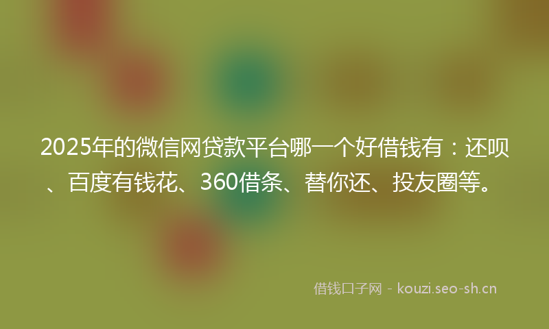 2025年的微信网贷款平台哪一个好借钱有：还呗、百度有钱花、360借条、替你还、投友圈等。