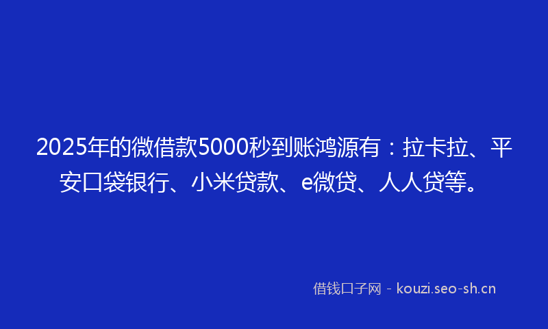 2025年的微借款5000秒到账鸿源有:拉卡拉、平安口袋银行、小米贷款、e微贷、人人贷等。