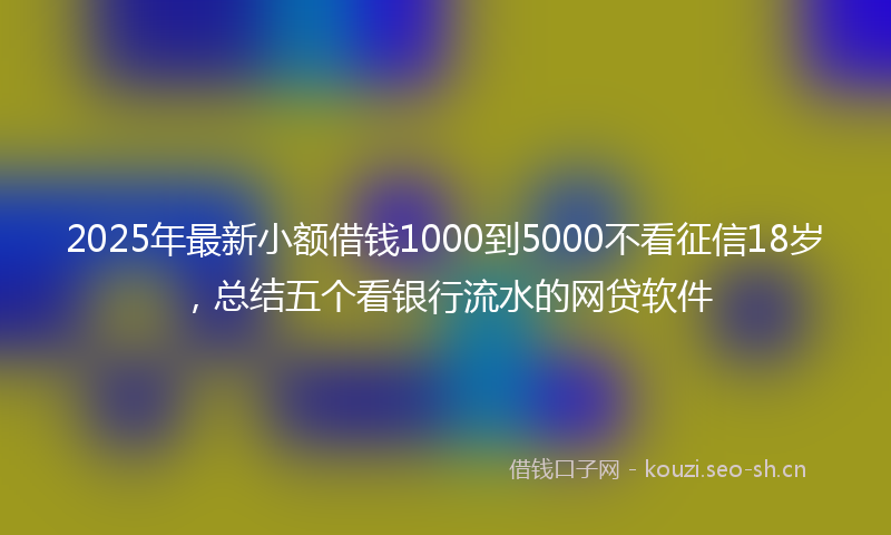 2025年最新小额借钱1000到5000不看征信18岁，总结五个看银行流水的网贷软件