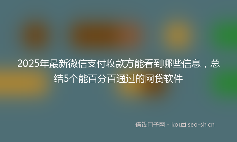 2025年最新微信支付收款方能看到哪些信息，总结5个能百分百通过的网贷软件