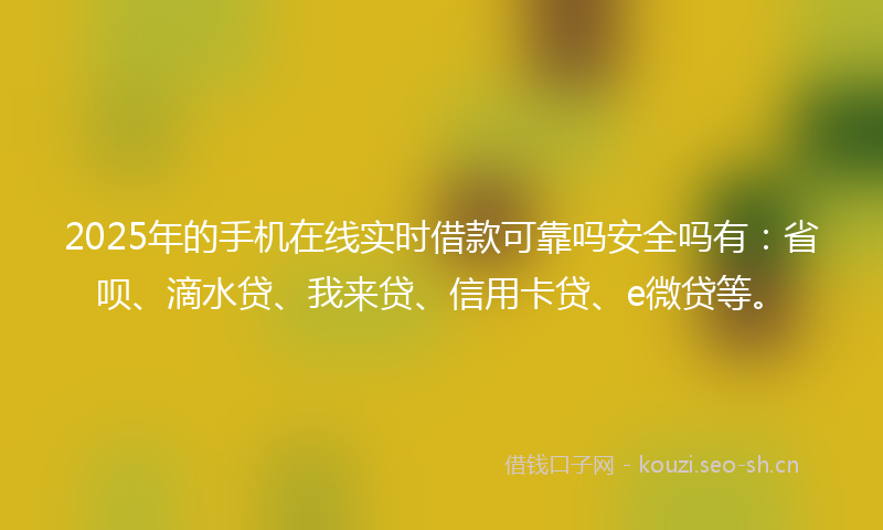 2025年的手机在线实时借款可靠吗安全吗有：省呗、滴水贷、我来贷、信用卡贷、e微贷等。