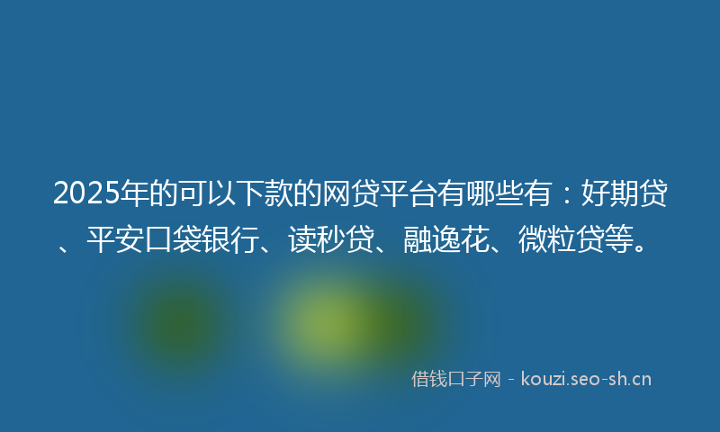 2025年的可以下款的网贷平台有哪些有：好期贷、平安口袋银行、读秒贷、融逸花、微粒贷等。