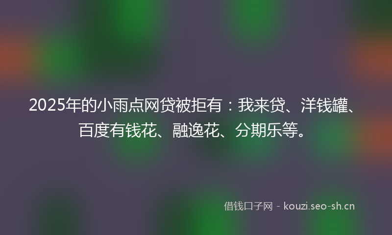 2025年的小雨点网贷被拒有：我来贷、洋钱罐、百度有钱花、融逸花、分期乐等。